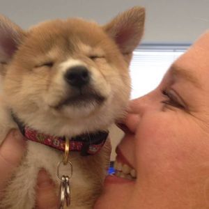 Meet your Posher, Karajane